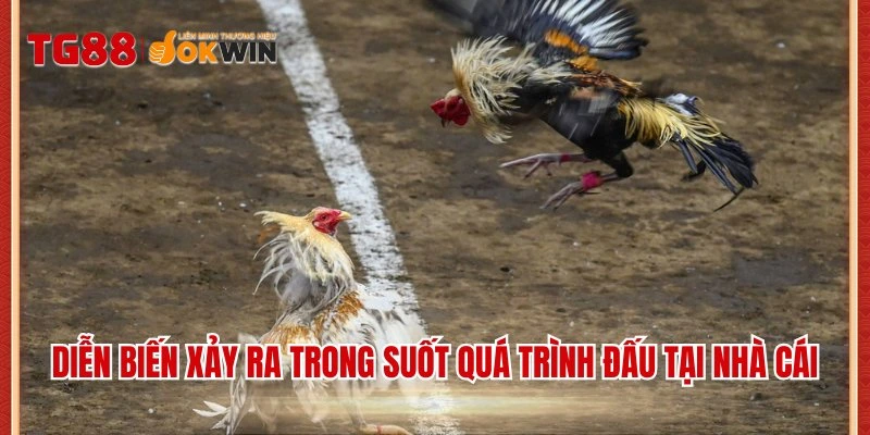 Diễn biến xảy ra trong suốt quá trình đấu tại nhà cái